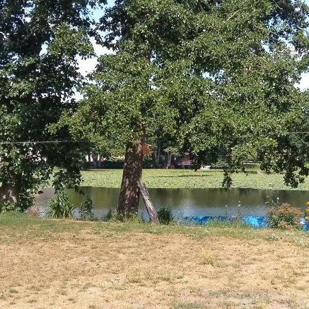 Bollingstedt Ferienwohnung Am See المظهر الخارجي الصورة